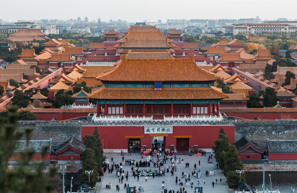 琉璃瓦上的落叶